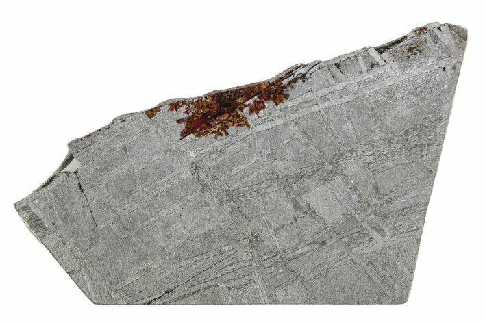 Etched Muonionalusta Meteorite Slice ( g) - Sweden #263127